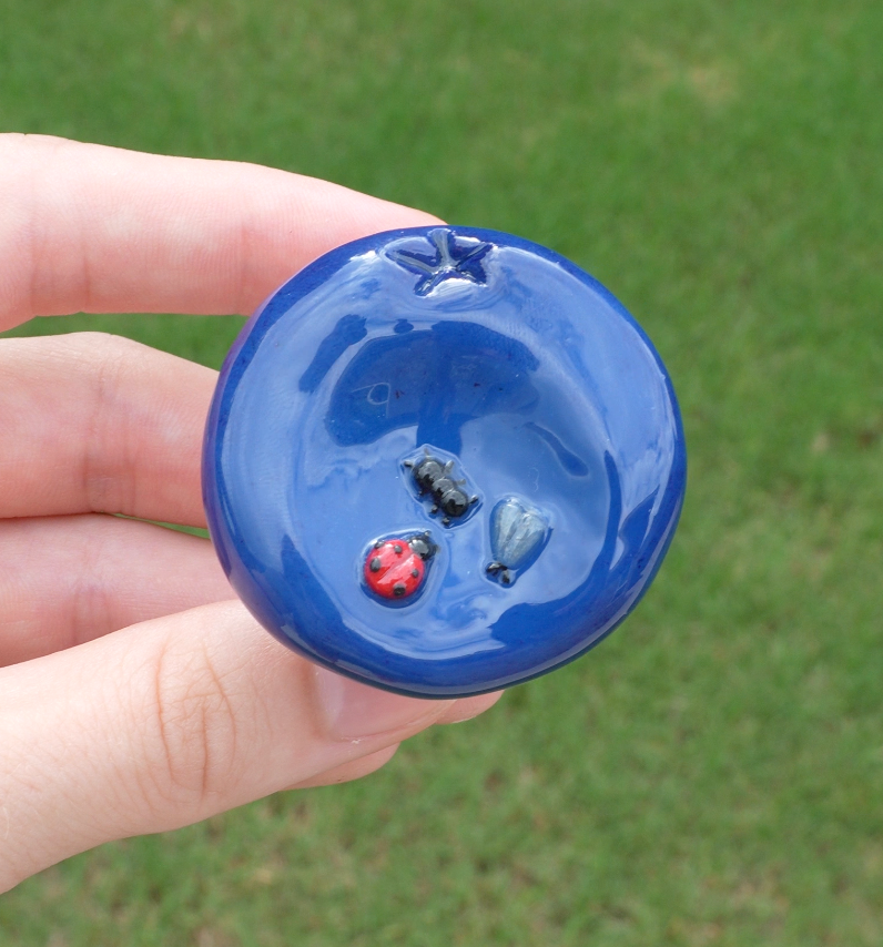 Blue Berry Pop Socket
